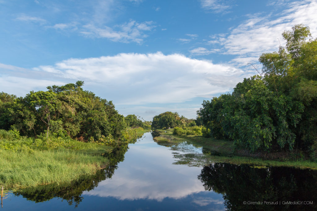 A black water canal on the Essequibo Coast